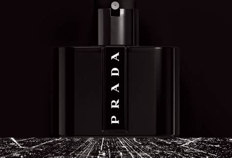 prada cologne notes|prada black cologne price.